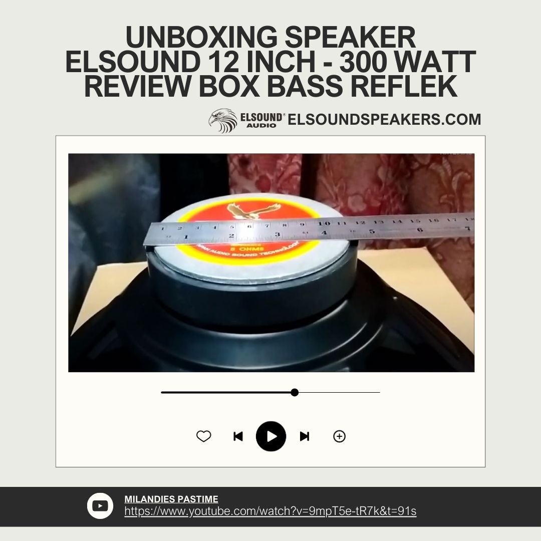 Unboxing dan Review Speaker ELSOUND 12-300W serta Box Bass Reflex ...